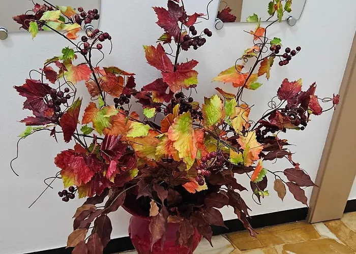 Apartment Casa Con Giardino Vicino Al Mare *