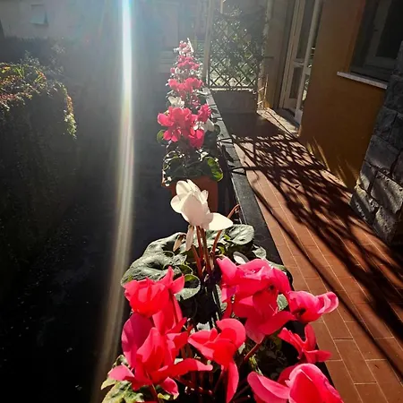 Διαμέρισμα Casa Con Giardino Vicino Al Mare Ραπάλο