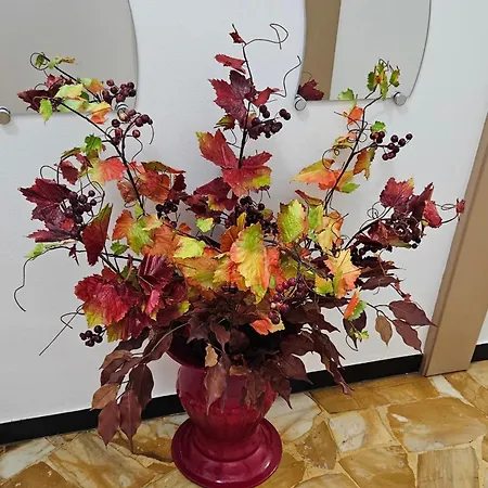 Apartment Casa Con Giardino Vicino Al Mare *